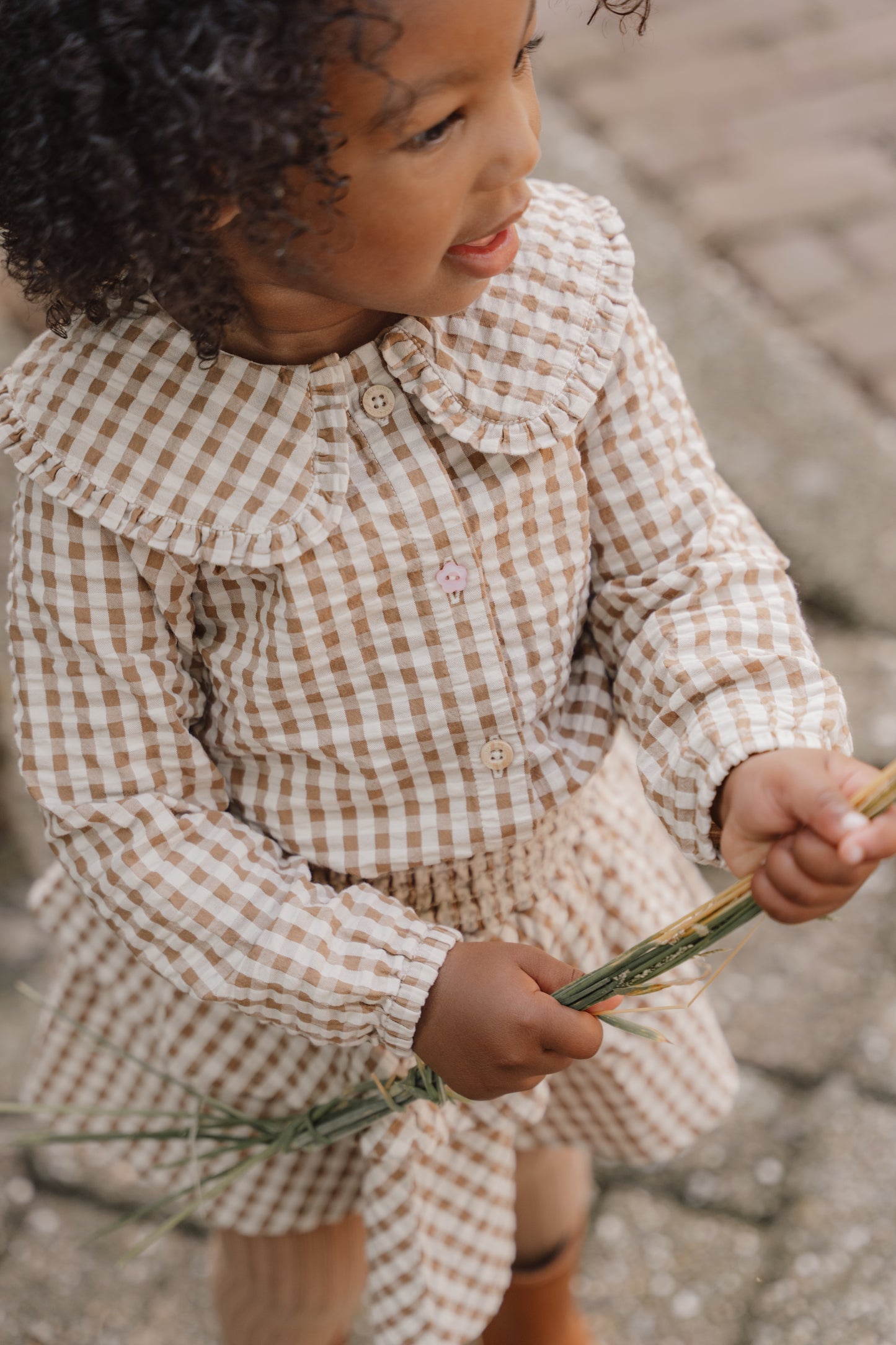 Brown Gingham Check Blouse