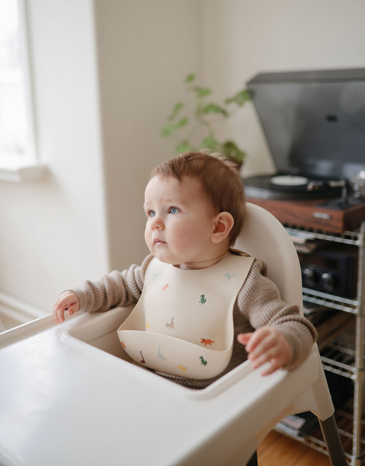 Dinosaur Mushie Silicone Bib - Wilf & Friends