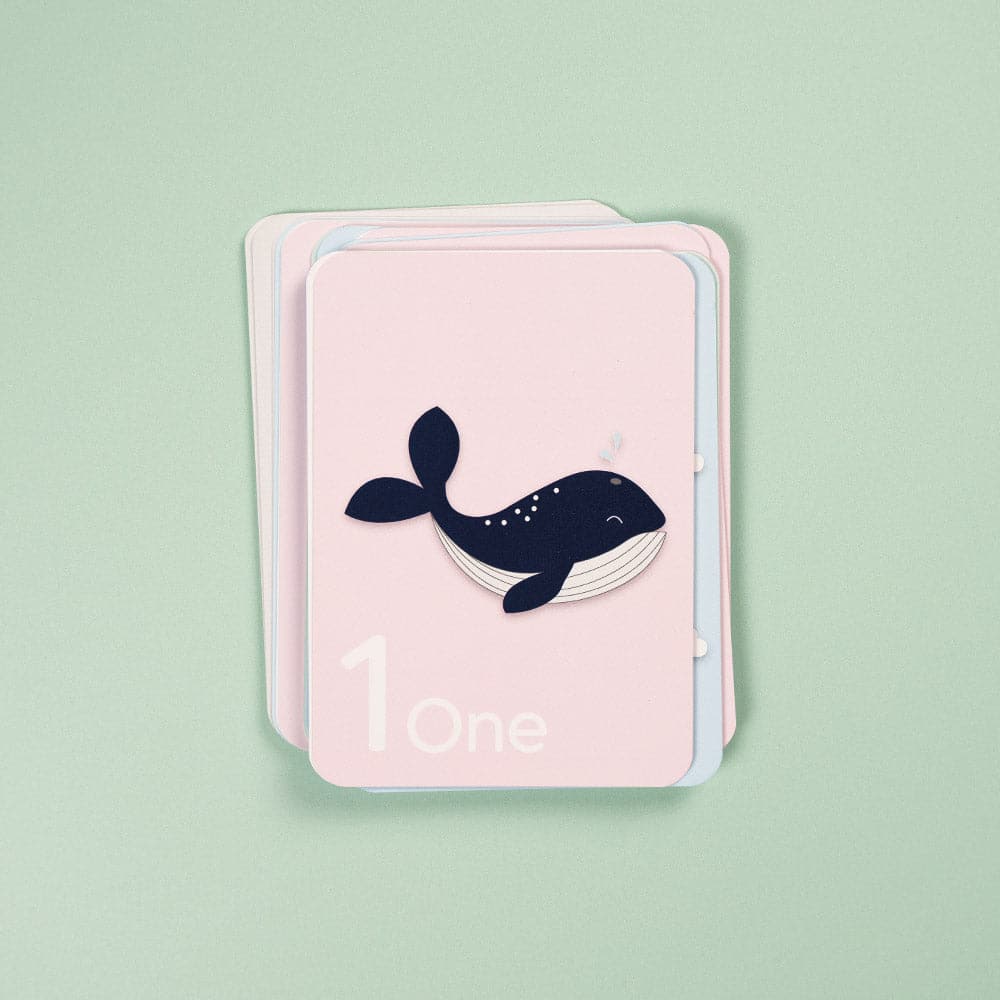 Number Flash Cards - Wilf & Friends