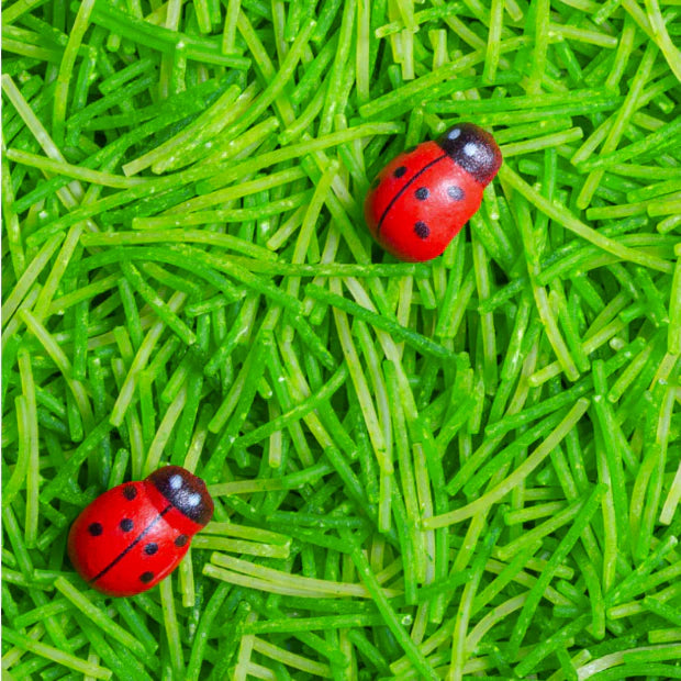 Sensory Bottle - Ladybird - Wilf & Friends