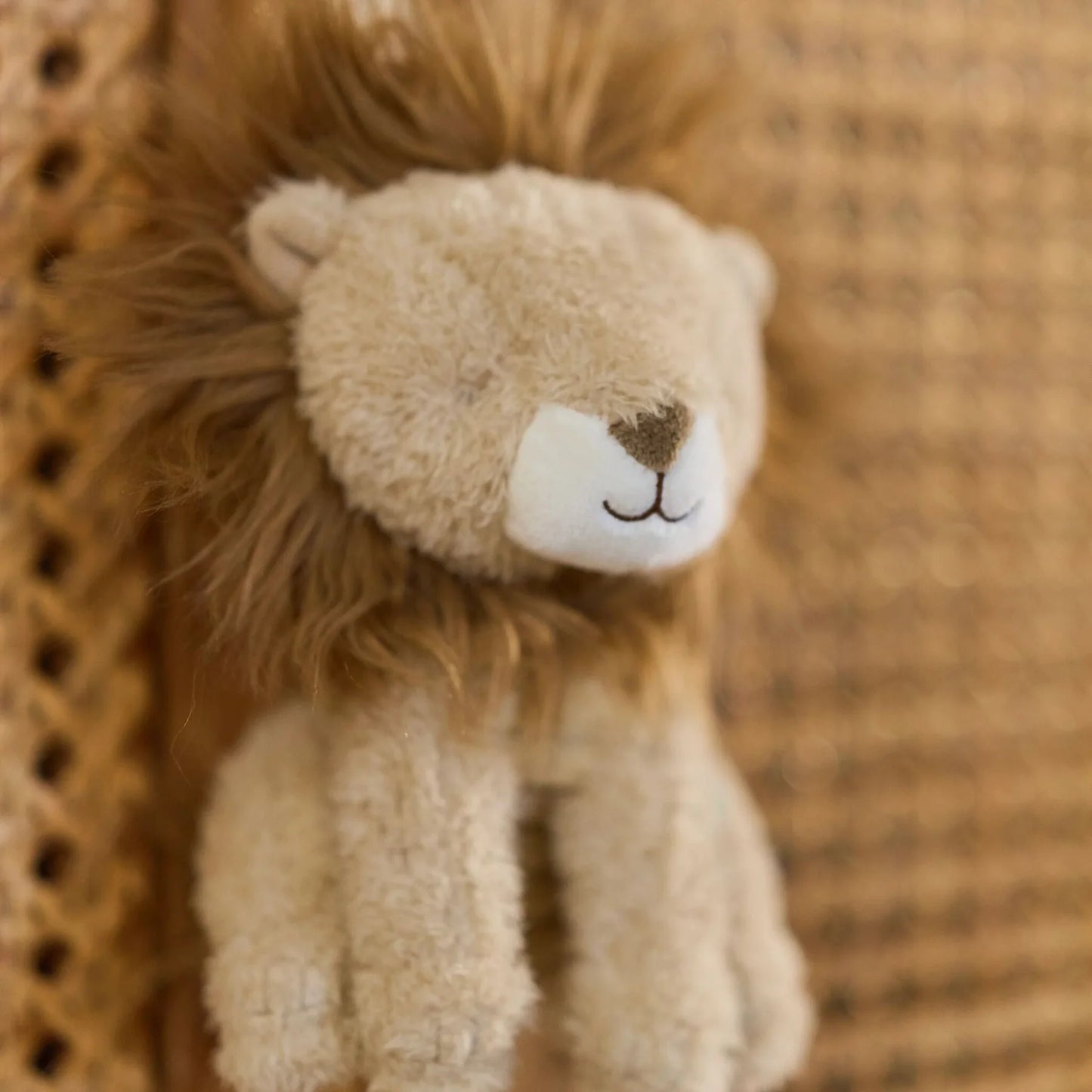 Little Dutch Music Box Lion - Safari Friends