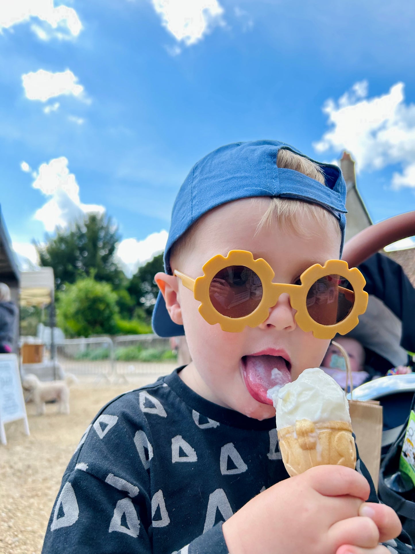 Fashion sunglasses