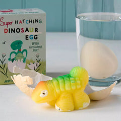 Hatch Your Own Dinosaur Egg