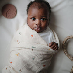 Organic Cotton Swaddle Blanket - Dinosaurs
