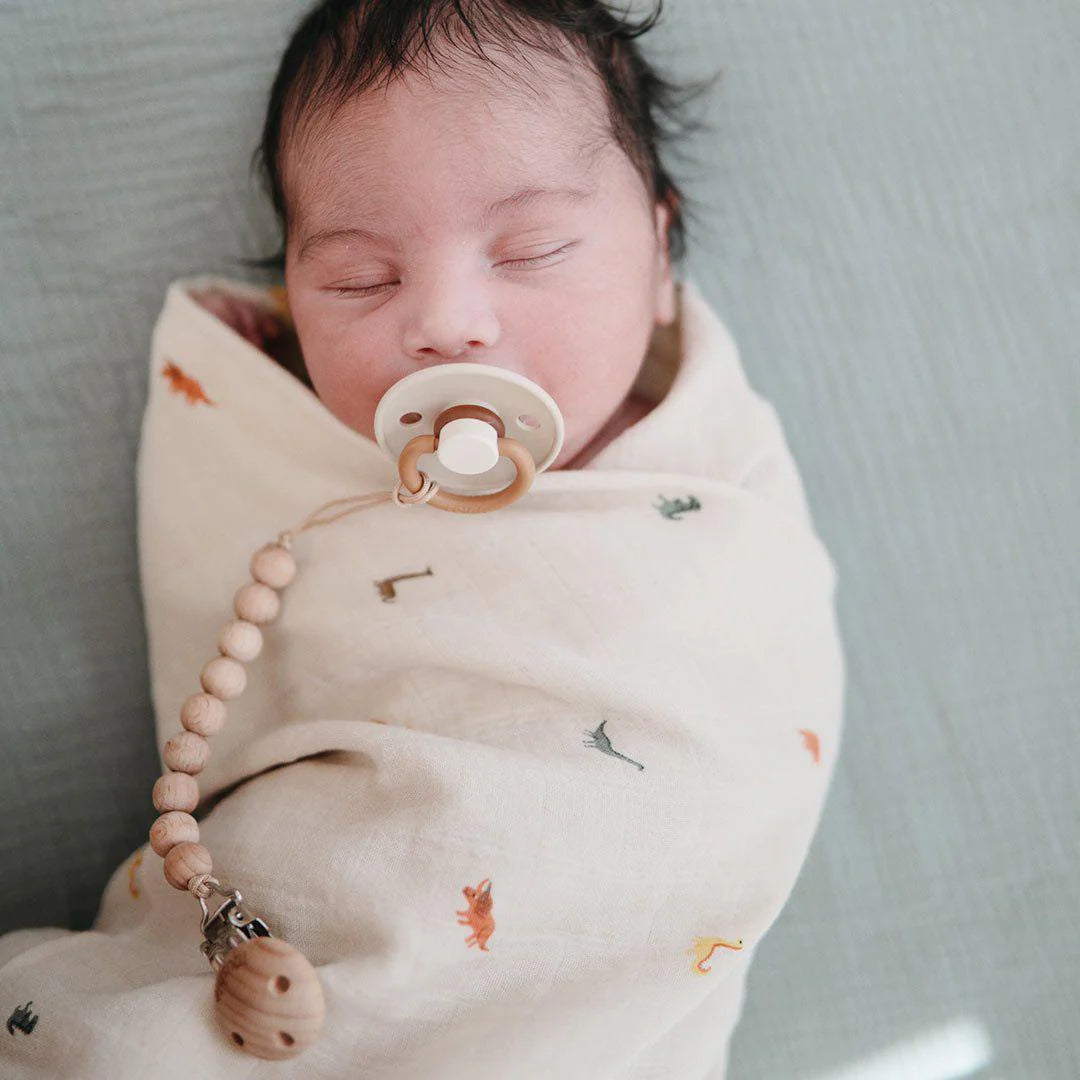 Organic Cotton Swaddle Blanket - Dinosaurs